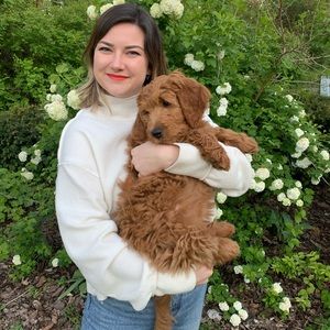 Meet your Posher, Halley